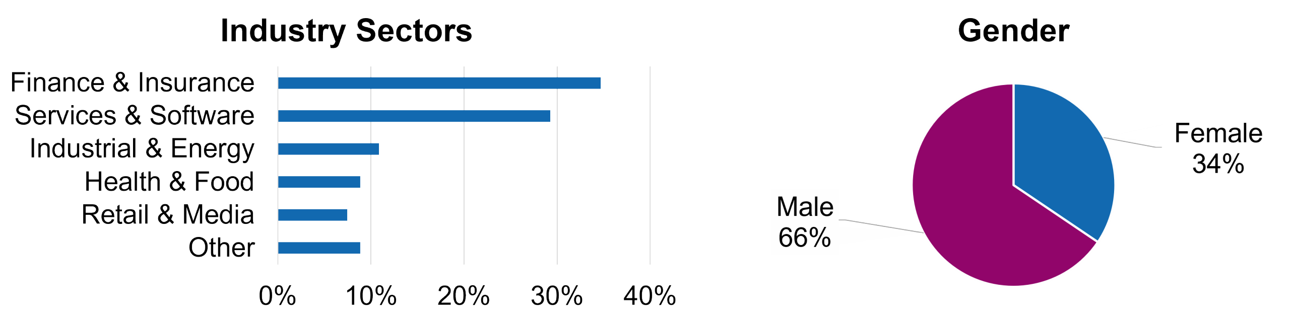 Figures showing statistics regarding industry and gender of 2024-2025 MAS & CAS participants. Industry sectors are predominantly Finance & Insurance as well as Services & Software. Gender is 66% male and 34% female