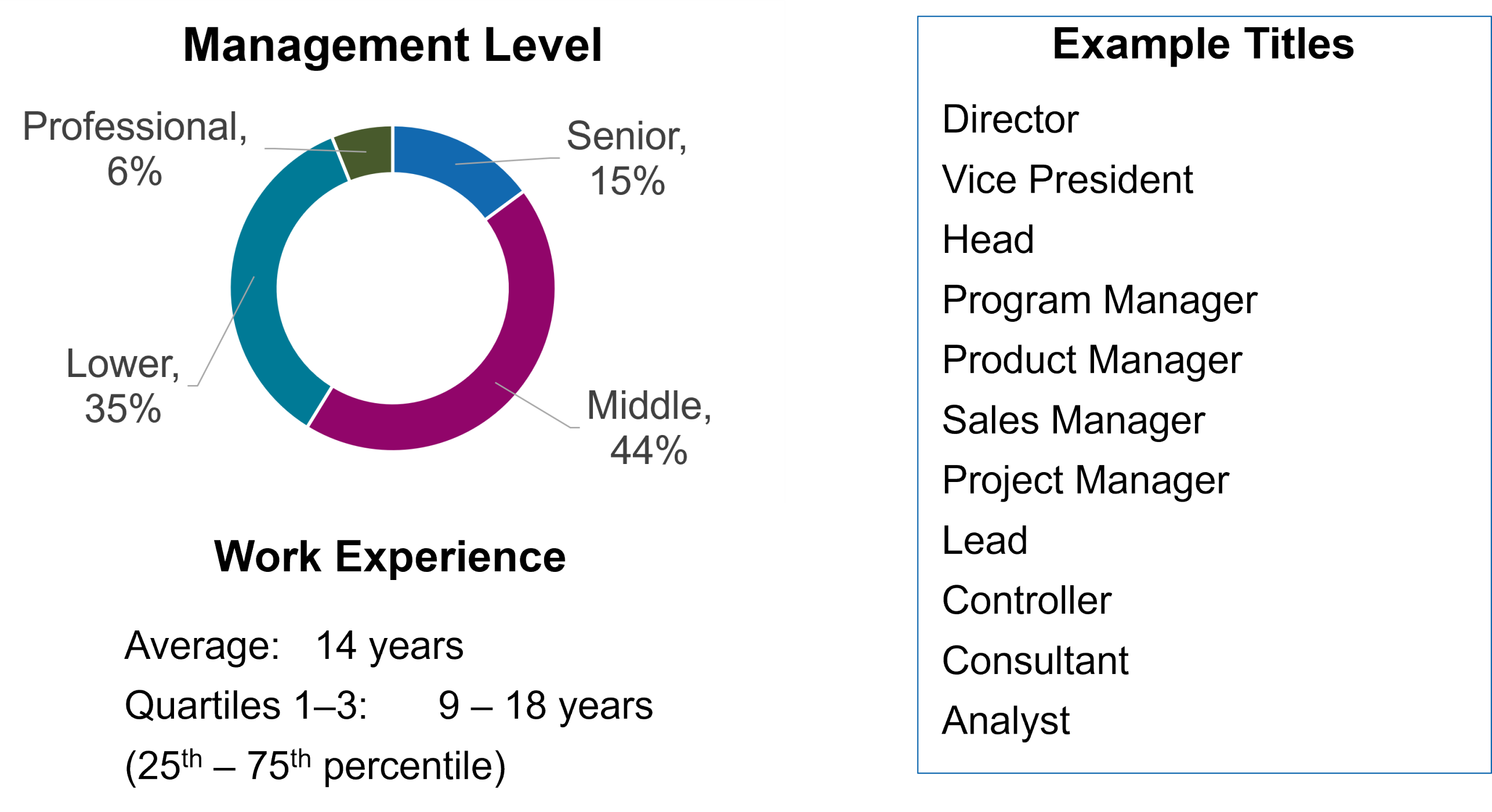 Figure showing information about the 2024-2025 MAS & CAS participants, including management level (middle management 44%, lower 35%, senior 15%, professional 6%), average work experience of 14 years, and typical job titles ranging from Analyst to Director